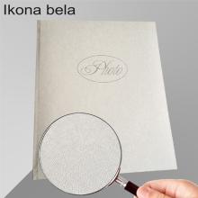 Ikona bela